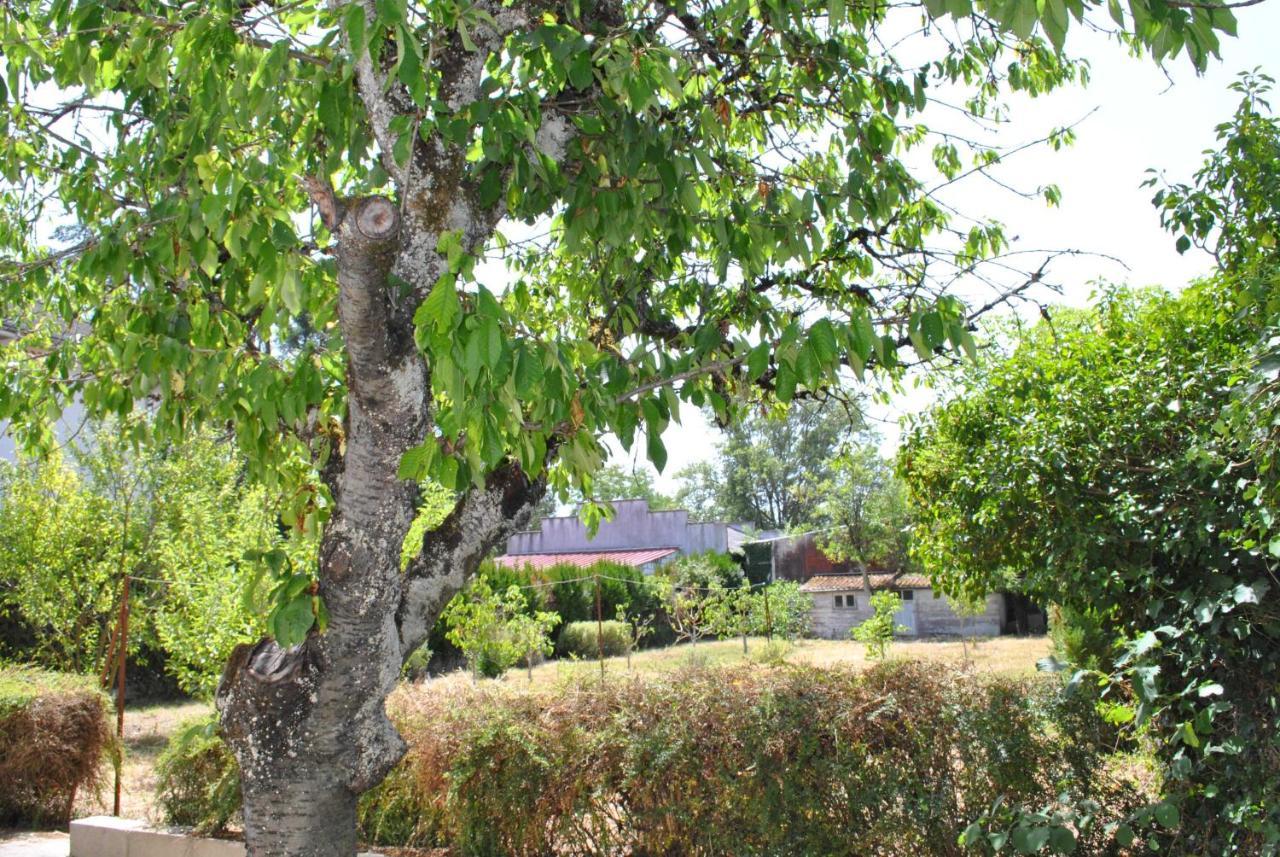 Maison 6 Personnes - Grand Jardin Arbore Villa Noyers-sur-Cher Dış mekan fotoğraf